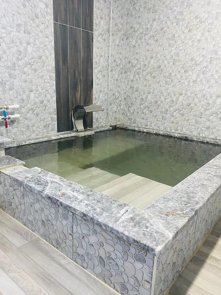 Otel Dogal Termal Suit Gediz